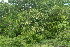  ( - OM2391)  @11 [ ] Unspecified (default): All Rights Reserved  Unspecified Unspecified