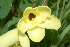  ( - OM2391)  @11 [ ] Unspecified (default): All Rights Reserved  Unspecified Unspecified