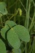  ( - OM2391)  @11 [ ] Unspecified (default): All Rights Reserved  Unspecified Unspecified
