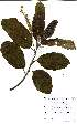  ( - OM2392)  @11 [ ] Unspecified (default): All Rights Reserved  Unspecified Unspecified