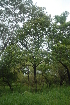  ( - OM2392)  @11 [ ] Unspecified (default): All Rights Reserved  Unspecified Unspecified