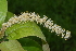  ( - OM2392)  @11 [ ] Unspecified (default): All Rights Reserved  Unspecified Unspecified
