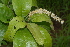  ( - OM2392)  @11 [ ] Unspecified (default): All Rights Reserved  Unspecified Unspecified