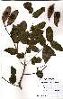  ( - OM2398)  @11 [ ] Unspecified (default): All Rights Reserved  Unspecified Unspecified
