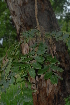  ( - OM2398)  @11 [ ] Unspecified (default): All Rights Reserved  Unspecified Unspecified