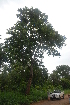  ( - OM2398)  @11 [ ] Unspecified (default): All Rights Reserved  Unspecified Unspecified