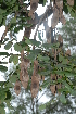 ( - OM2398)  @11 [ ] Unspecified (default): All Rights Reserved  Unspecified Unspecified