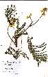  ( - OM2401)  @11 [ ] Unspecified (default): All Rights Reserved  Unspecified Unspecified