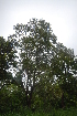  ( - OM2401)  @11 [ ] Unspecified (default): All Rights Reserved  Unspecified Unspecified