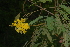  ( - OM2401)  @11 [ ] Unspecified (default): All Rights Reserved  Unspecified Unspecified