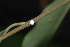  ( - OM2405)  @11 [ ] Unspecified (default): All Rights Reserved  Unspecified Unspecified