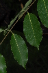  ( - OM2405)  @11 [ ] Unspecified (default): All Rights Reserved  Unspecified Unspecified