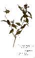  ( - OM2415)  @11 [ ] Unspecified (default): All Rights Reserved  Unspecified Unspecified