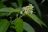  ( - OM2415)  @11 [ ] Unspecified (default): All Rights Reserved  Unspecified Unspecified