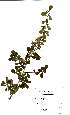  ( - OM2416)  @11 [ ] Unspecified (default): All Rights Reserved  Unspecified Unspecified