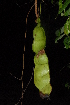  ( - OM2417)  @11 [ ] Unspecified (default): All Rights Reserved  Unspecified Unspecified