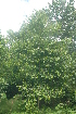  ( - OM2418)  @11 [ ] Unspecified (default): All Rights Reserved  Unspecified Unspecified