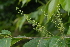  ( - OM2418)  @11 [ ] Unspecified (default): All Rights Reserved  Unspecified Unspecified