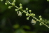  ( - OM2418)  @11 [ ] Unspecified (default): All Rights Reserved  Unspecified Unspecified