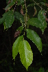  ( - OM2418)  @11 [ ] Unspecified (default): All Rights Reserved  Unspecified Unspecified
