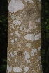  ( - OM2418)  @11 [ ] Unspecified (default): All Rights Reserved  Unspecified Unspecified
