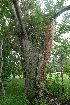  ( - OM2449)  @11 [ ] Unspecified (default): All Rights Reserved  Unspecified Unspecified