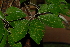  ( - OM2449)  @11 [ ] Unspecified (default): All Rights Reserved  Unspecified Unspecified