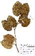  ( - OM2450)  @11 [ ] Unspecified (default): All Rights Reserved  Unspecified Unspecified
