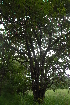  ( - OM2450)  @11 [ ] Unspecified (default): All Rights Reserved  Unspecified Unspecified