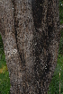  ( - OM2450)  @11 [ ] Unspecified (default): All Rights Reserved  Unspecified Unspecified