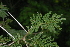  ( - OM2451)  @11 [ ] Unspecified (default): All Rights Reserved  Unspecified Unspecified