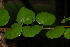  ( - OM2453)  @11 [ ] Unspecified (default): All Rights Reserved  Unspecified Unspecified