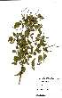  ( - OM0273)  @11 [ ] Unspecified (default): All Rights Reserved  Unspecified Unspecified