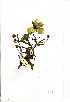  ( - OM0413)  @11 [ ] Unspecified (default): All Rights Reserved  Unspecified Unspecified