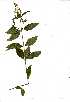  ( - OM0492)  @11 [ ] Unspecified (default): All Rights Reserved  Unspecified Unspecified