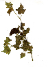  ( - OM0570)  @11 [ ] Unspecified (default): All Rights Reserved  Unspecified Unspecified