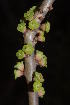  ( - OM0894)  @11 [ ] Unspecified (default): All Rights Reserved  Unspecified Unspecified