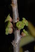  ( - OM0894)  @11 [ ] Unspecified (default): All Rights Reserved  Unspecified Unspecified