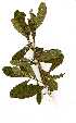  ( - OM0941)  @11 [ ] Unspecified (default): All Rights Reserved  Unspecified Unspecified