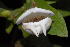  ( - OM_MvdB72)  @11 [ ] No Rights Reserved  Unspecified Unspecified