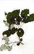  ( - RBN151)  @11 [ ] Unspecified (default): All Rights Reserved  Unspecified Unspecified
