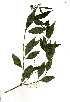  ( - RBN199)  @11 [ ] Unspecified (default): All Rights Reserved  Unspecified Unspecified
