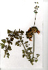  ( - RBN240)  @11 [ ] Unspecified (default): All Rights Reserved  Unspecified Unspecified