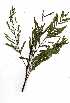  ( - RBN264)  @11 [ ] Unspecified (default): All Rights Reserved  Unspecified Unspecified