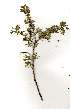  ( - RL1297)  @13 [ ] Unspecified (default): All Rights Reserved  Unspecified Unspecified