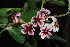  ( - OM0318)  @11 [ ] Unspecified (default): All Rights Reserved  Unspecified Unspecified