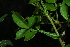  ( - RBN332)  @11 [ ] Unspecified (default): All Rights Reserved  Unspecified Unspecified