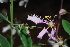  ( - OM2003)  @11 [ ] Unspecified (default): All Rights Reserved  Unspecified Unspecified
