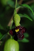  ( - RBN143)  @11 [ ] Unspecified (default): All Rights Reserved  Unspecified Unspecified
