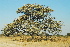  ( - OM1037.1)  @11 [ ] Unspecified (default): All Rights Reserved  Unspecified Unspecified